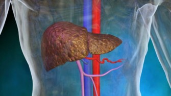 Irradiation stéréotaxique des tumeurs hépatiques : une nouvelle arme thérapeutique ?