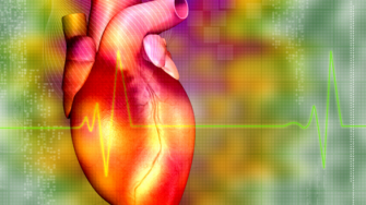 La concentration des lipides chez les jeunes adultes prédit bien le risque de maladie coronarienne à 20 ans