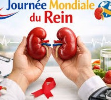 12 Mars Journ&eacute;e mondiale du rein 2026