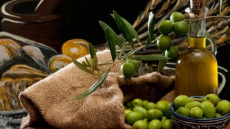 L’Olivier, l’huile, l’olive
