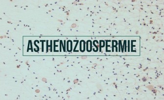 Asthénospermie