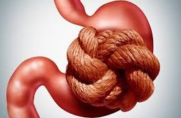 Hygiène de vie pour améliorer son transit intestinal 