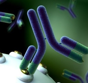 Le 29 avril: La journ&eacute;e internationale de l&rsquo;immunologie