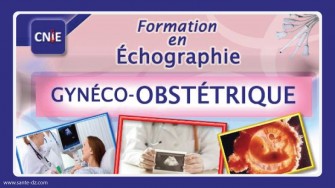 Formation en Échographie Gynéco-obstétrique CNIE MEDICAL