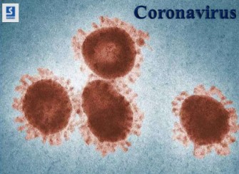 Virus à couronne - Le coronavirus