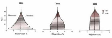 Evolution de la pyramides des âge de la population mondiale. Source 