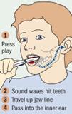 Hasbro Tooth Tunes