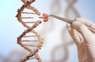  La thérapie génique CRISPR
