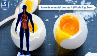 Journée mondiale de l’œuf- L’œuf, source des protéines