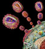 Virus A H1N1 pandémique